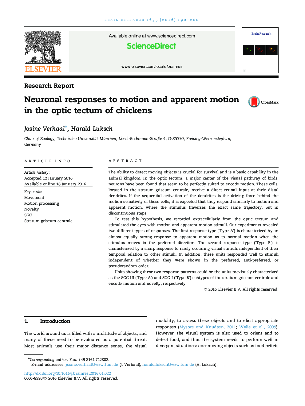 Research ReportNeuronal responses to motion and apparent motion in the optic tectum of chickens
