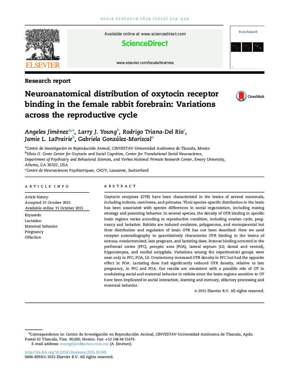 Research reportNeuroanatomical distribution of oxytocin receptor binding in the female rabbit forebrain: Variations across the reproductive cycle