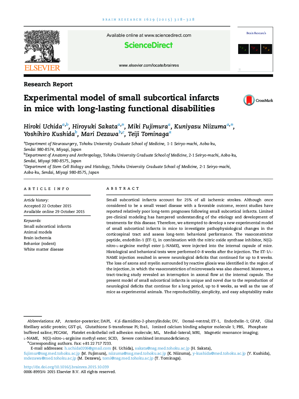 Research ReportExperimental model of small subcortical infarcts in mice with long-lasting functional disabilities
