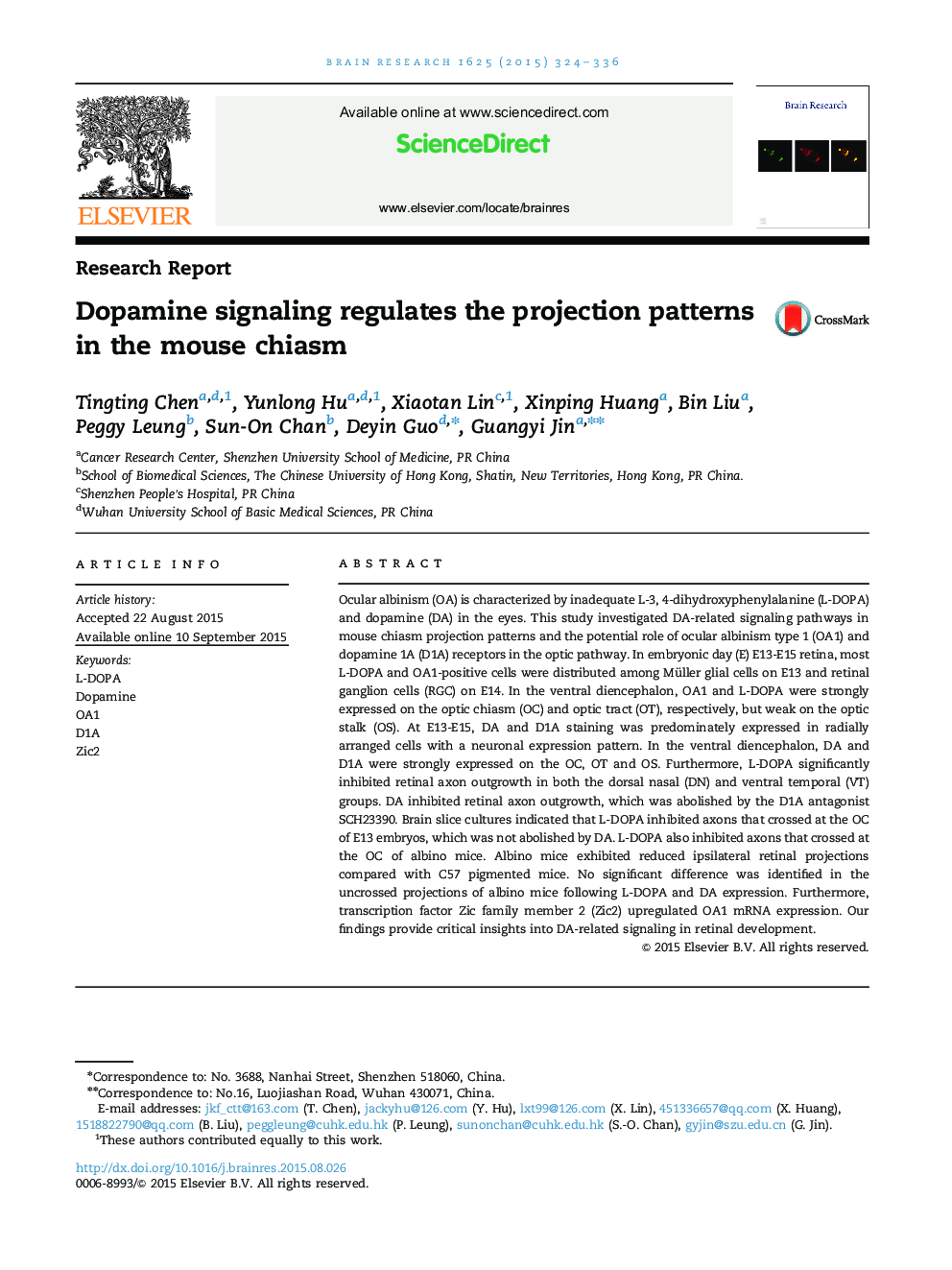 Research ReportDopamine signaling regulates the projection patterns in the mouse chiasm