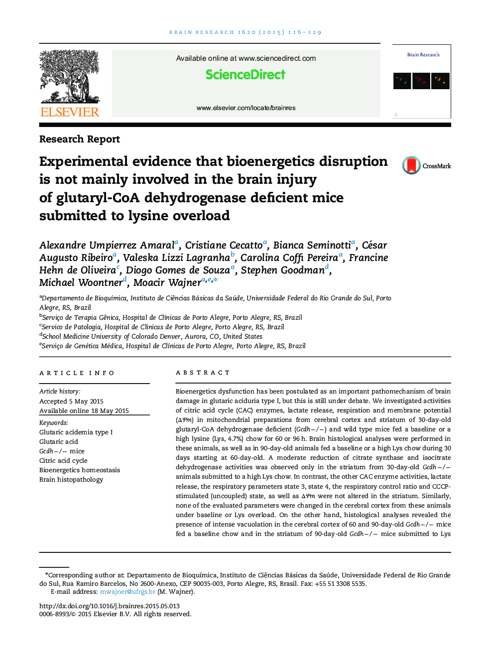 Research ReportExperimental evidence that bioenergetics disruption is not mainly involved in the brain injury of glutaryl-CoA dehydrogenase deficient mice submitted to lysine overload