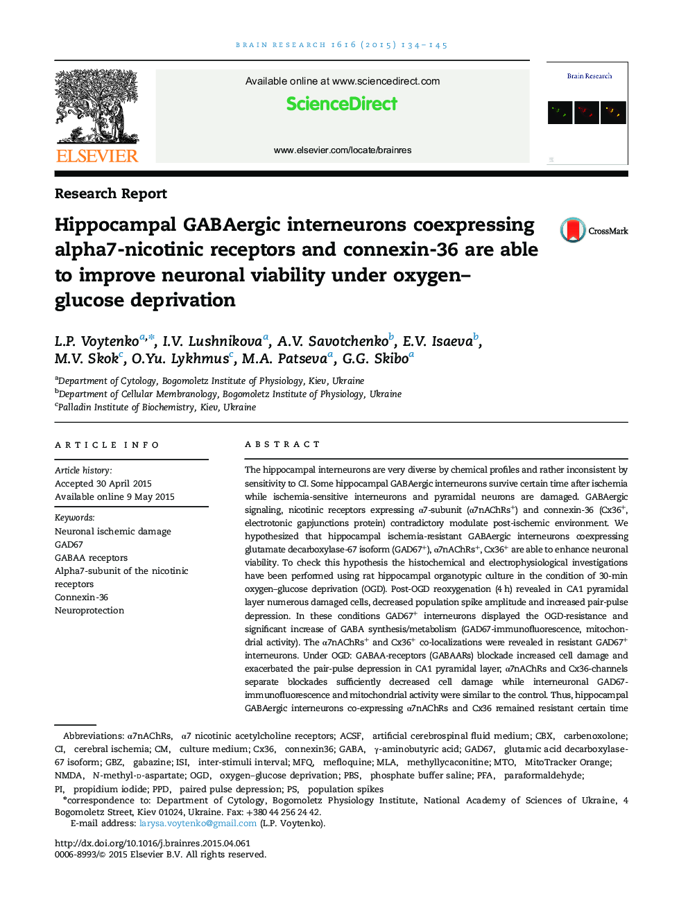 Research ReportHippocampal GABAergic interneurons coexpressing alpha7-nicotinic receptors and connexin-36 are able to improve neuronal viability under oxygen-glucose deprivation