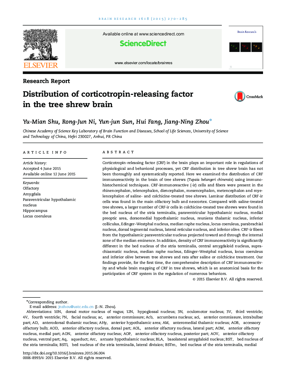 Research ReportDistribution of corticotropin-releasing factor in the tree shrew brain