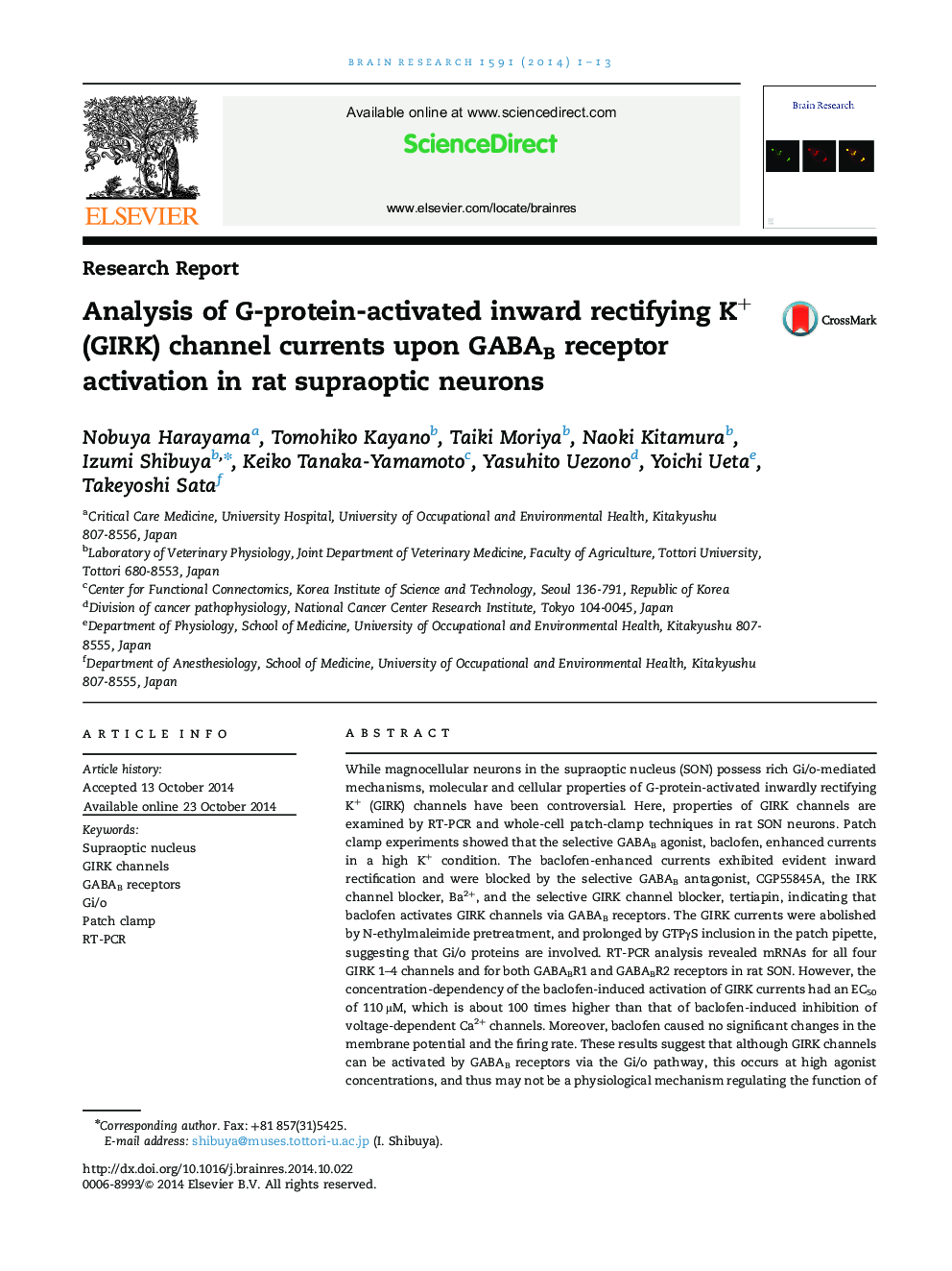 Analysis of G-protein-activated inward rectifying K+ (GIRK) channel currents upon GABAB receptor activation in rat supraoptic neurons