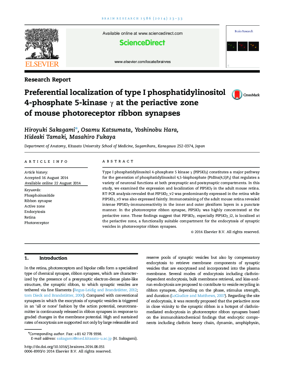 Research ReportPreferential localization of type I phosphatidylinositol 4-phosphate 5-kinase Î³ at the periactive zone of mouse photoreceptor ribbon synapses