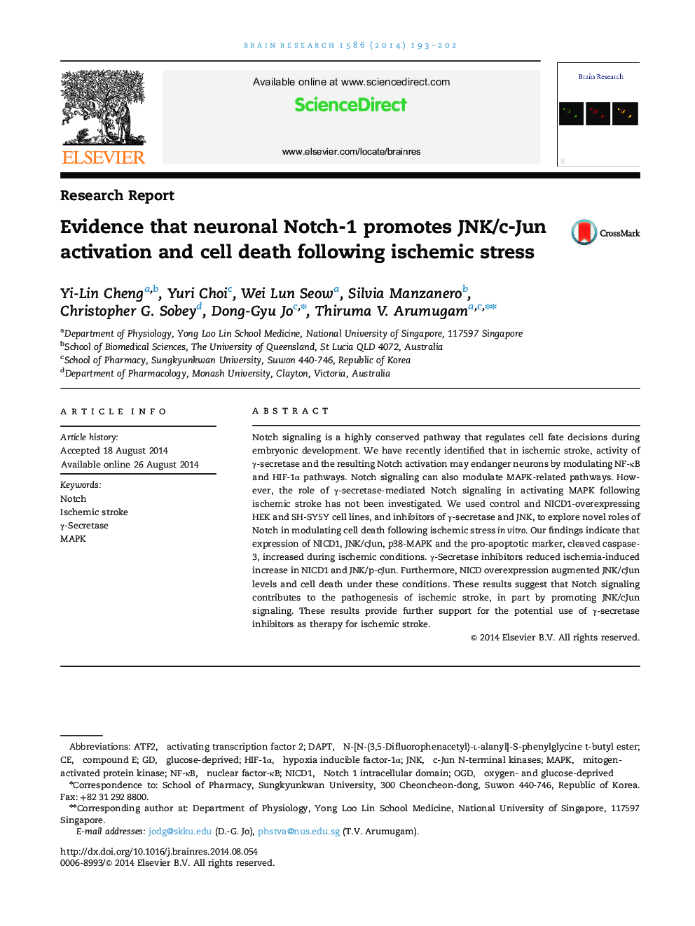 Research ReportEvidence that neuronal Notch-1 promotes JNK/c-Jun activation and cell death following ischemic stress