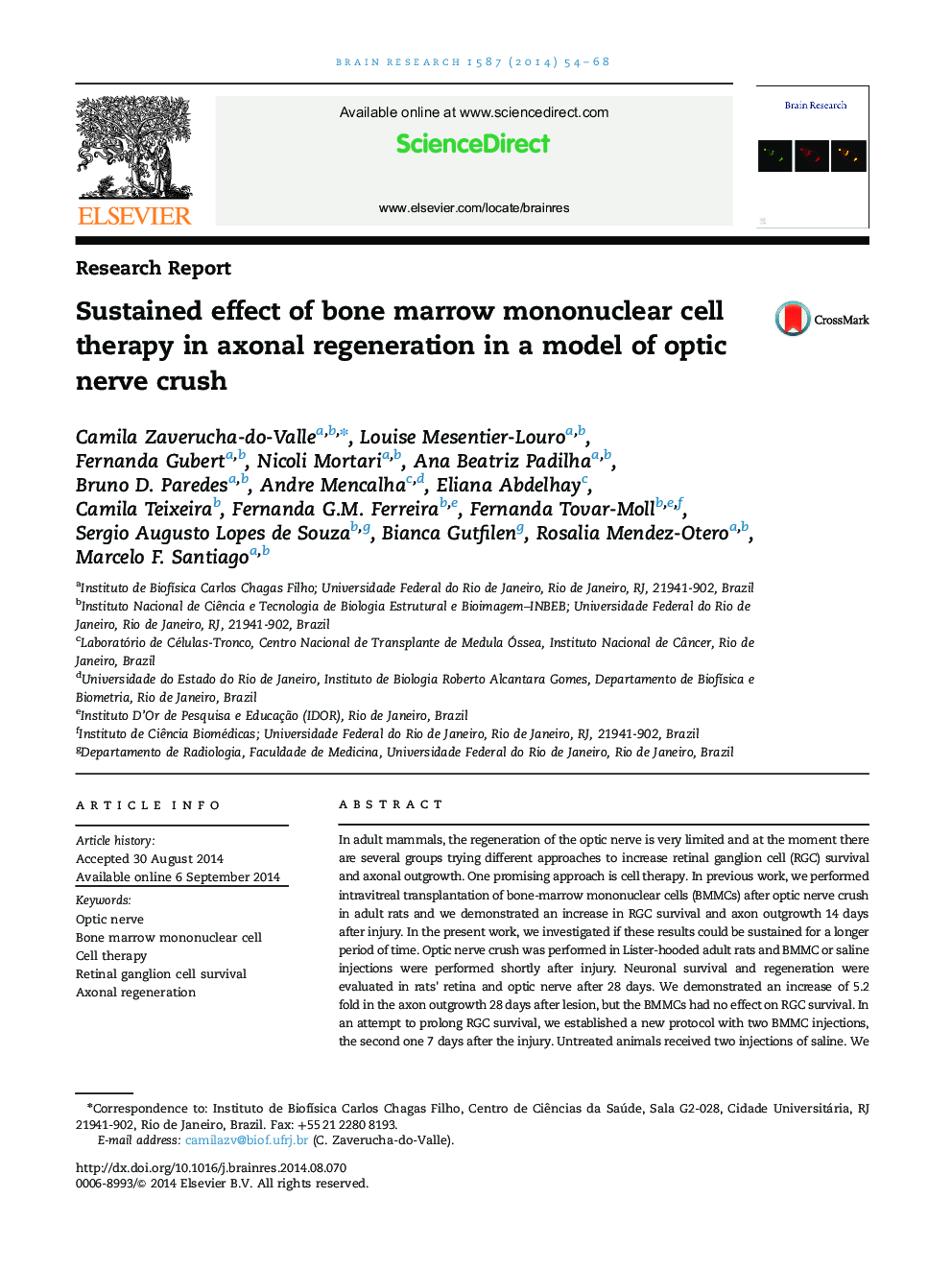 Research ReportSustained effect of bone marrow mononuclear cell therapy in axonal regeneration in a model of optic nerve crush