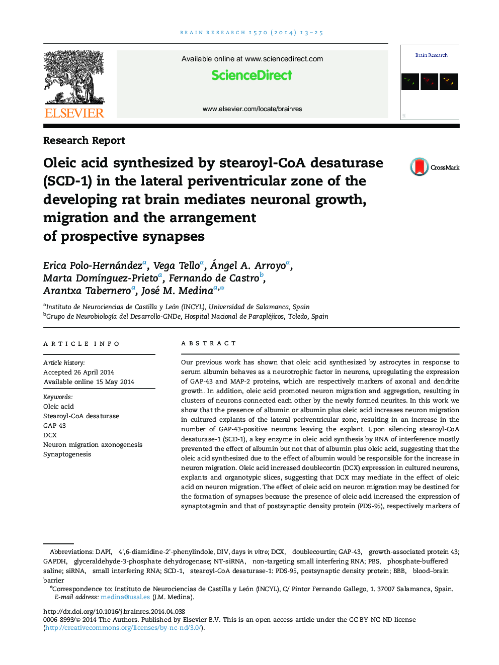 Research ReportOleic acid synthesized by stearoyl-CoA desaturase (SCD-1) in the lateral periventricular zone of the developing rat brain mediates neuronal growth, migration and the arrangement of prospective synapses