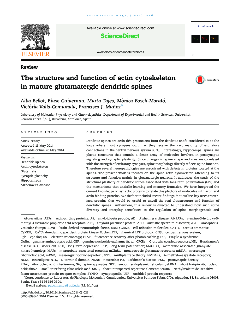 بررسی ساختار و عملکرد سیتو اسکلت اکتین در ستون فقرات دندریتیکی گلوتاماترگیک بالغ 