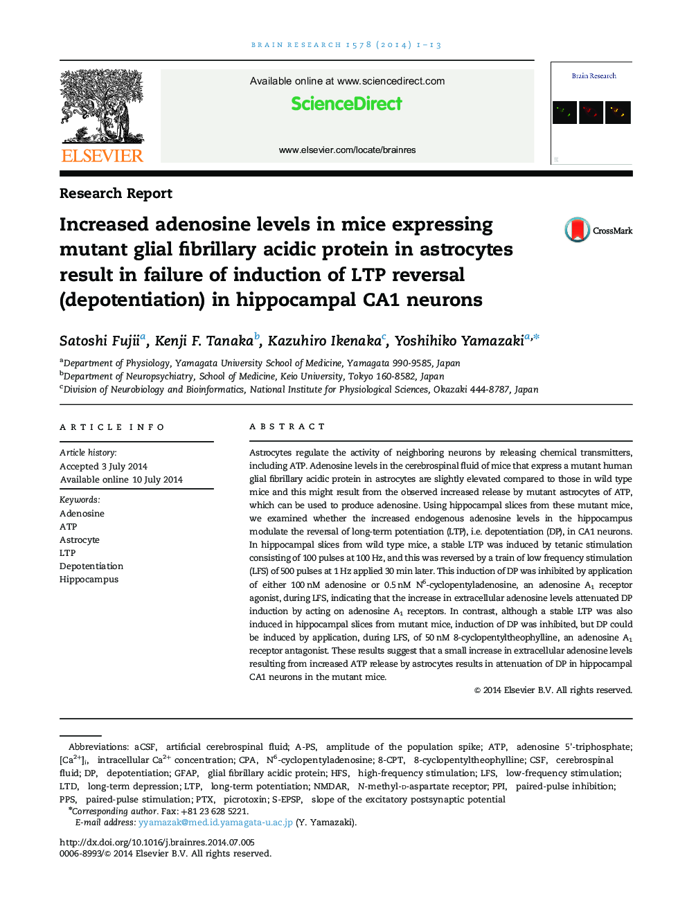 Research ReportIncreased adenosine levels in mice expressing mutant glial fibrillary acidic protein in astrocytes result in failure of induction of LTP reversal (depotentiation) in hippocampal CA1 neurons