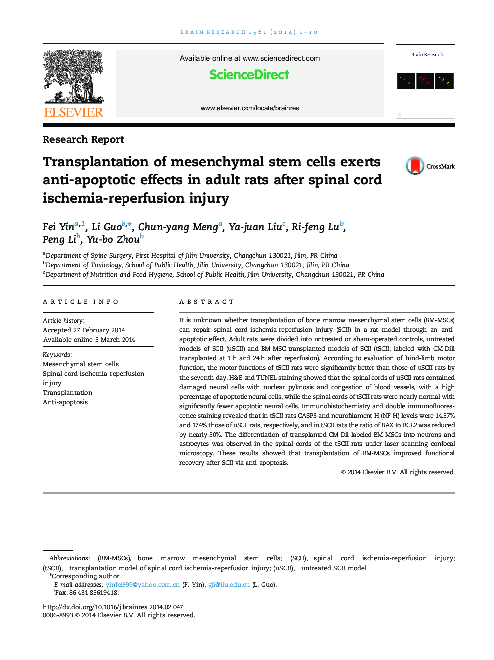 Research ReportTransplantation of mesenchymal stem cells exerts anti-apoptotic effects in adult rats after spinal cord ischemia-reperfusion injury