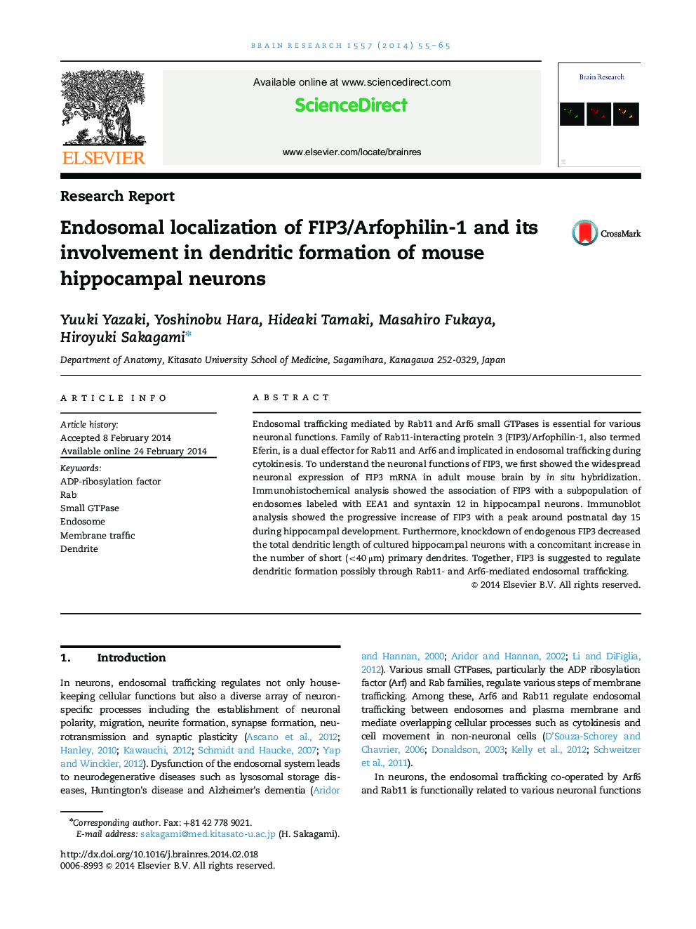 عکس صفحه اول مقاله: Research ReportEndosomal localization of FIP3/Arfophilin-1 and its involvement in dendritic formation of mouse hippocampal neurons Research ReportEndosomal localization of FIP3/Arfophilin-1 and its involvement in dendritic formation of mouse hippocampal neurons