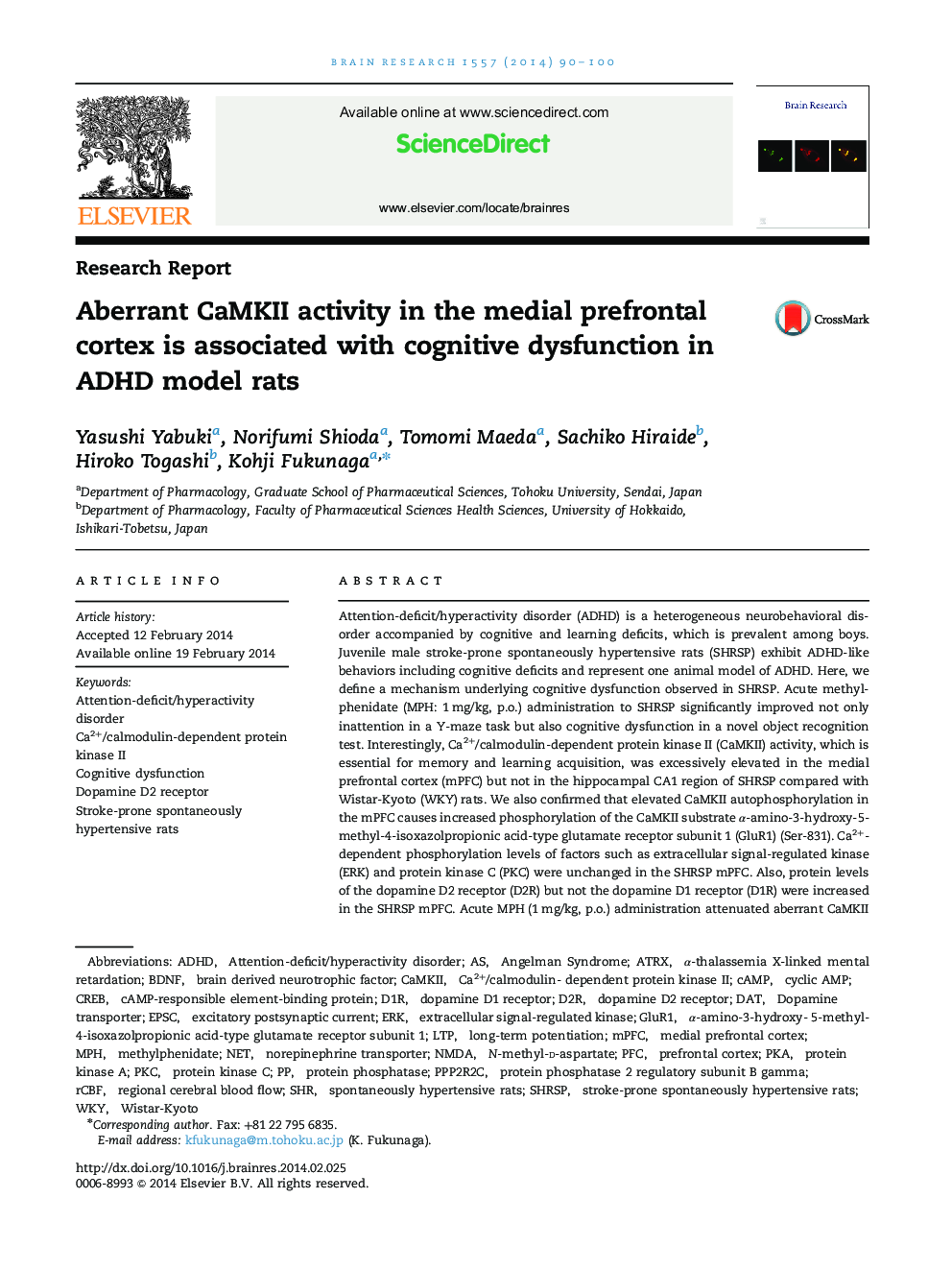 Research ReportAberrant CaMKII activity in the medial prefrontal cortex is associated with cognitive dysfunction in ADHD model rats