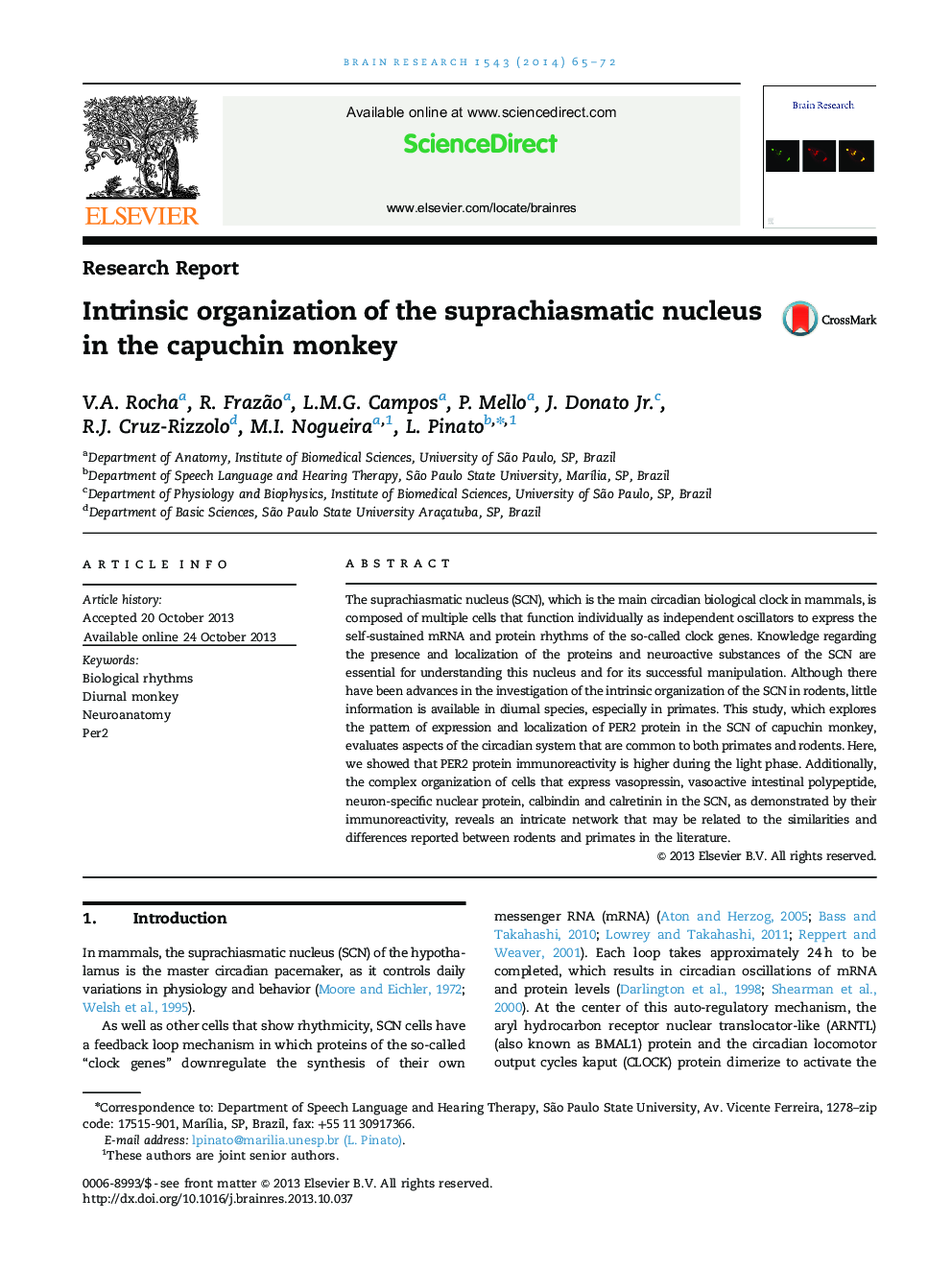 Research ReportIntrinsic organization of the suprachiasmatic nucleus in the capuchin monkey