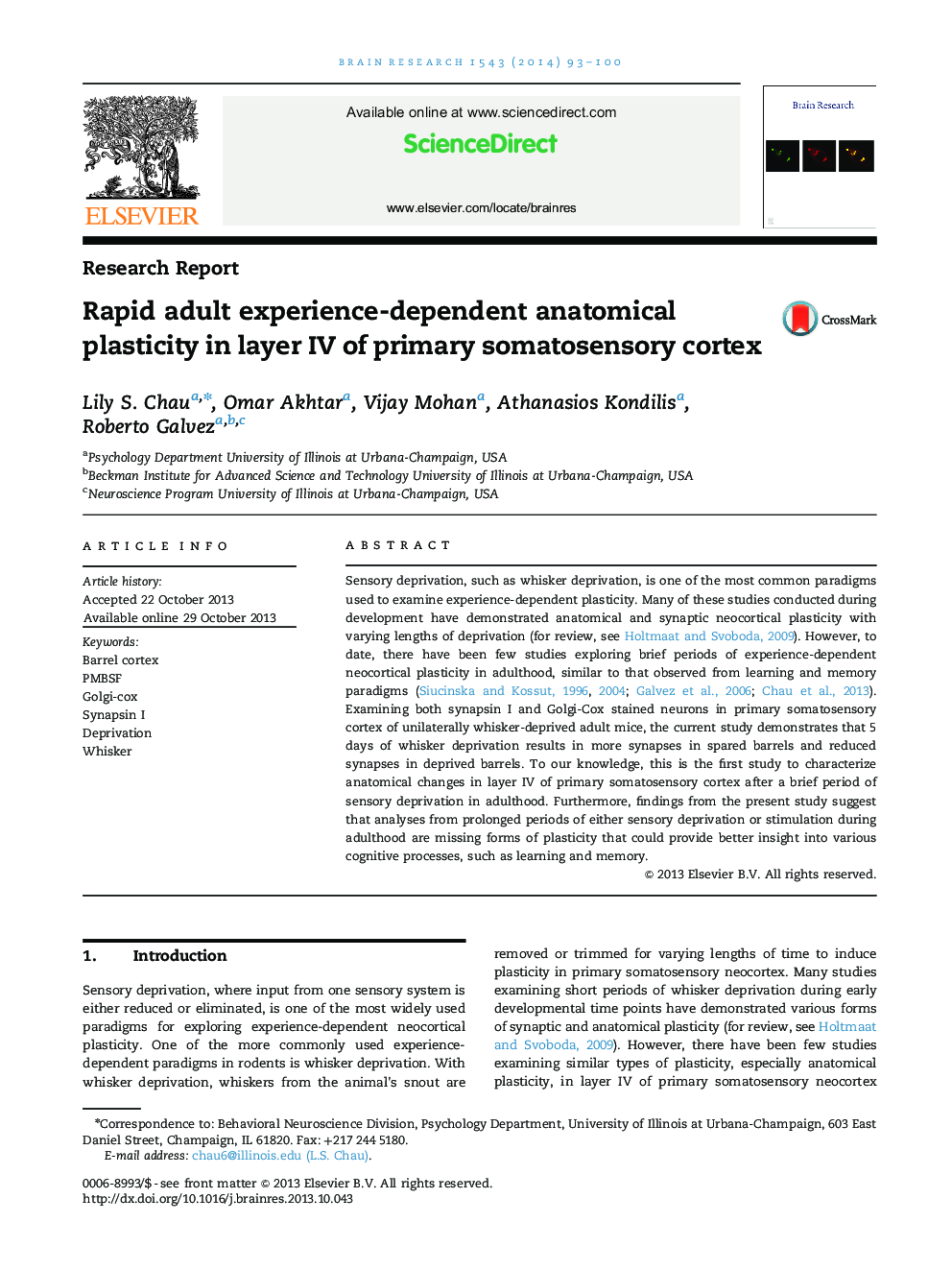 Research ReportRapid adult experience-dependent anatomical plasticity in layer IV of primary somatosensory cortex