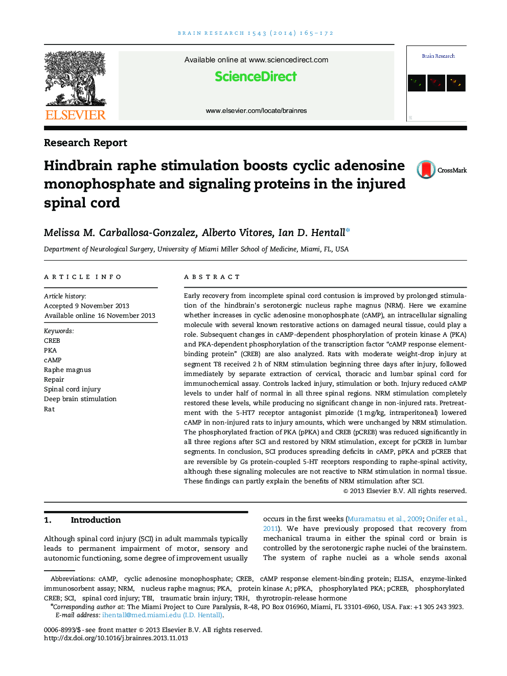 Research ReportHindbrain raphe stimulation boosts cyclic adenosine monophosphate and signaling proteins in the injured spinal cord
