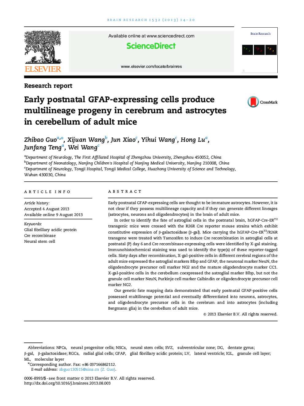 Research reportEarly postnatal GFAP-expressing cells produce multilineage progeny in cerebrum and astrocytes in cerebellum of adult mice