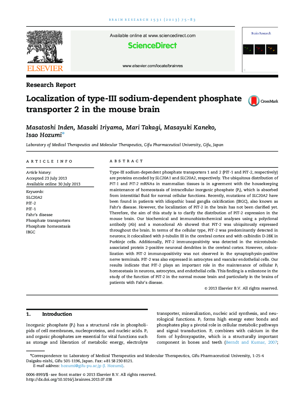 Research ReportLocalization of type-III sodium-dependent phosphate transporter 2 in the mouse brain