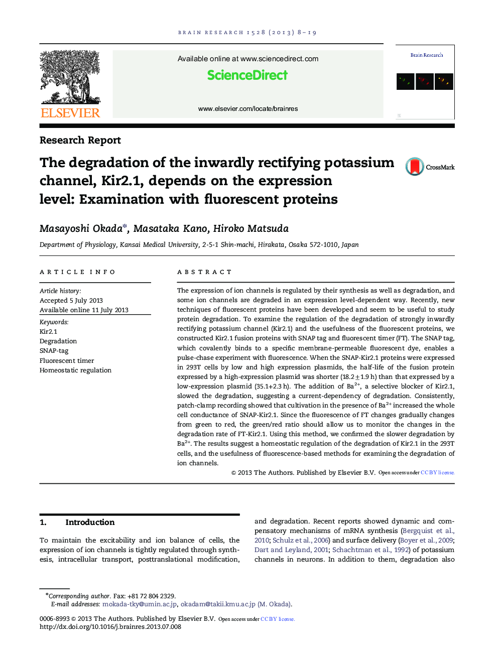 Research ReportThe degradation of the inwardly rectifying potassium channel, Kir2.1, depends on the expression level: Examination with fluorescent proteins