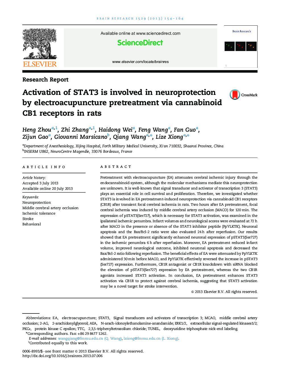 Research ReportActivation of STAT3 is involved in neuroprotection by electroacupuncture pretreatment via cannabinoid CB1 receptors in rats