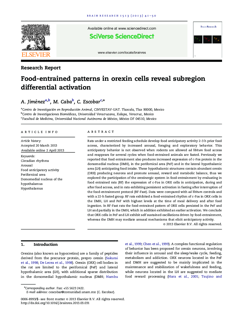 Food-entrained patterns in orexin cells reveal subregion differential activation