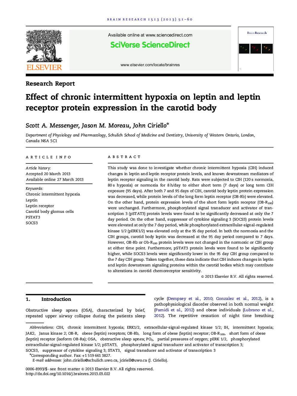 Effect of chronic intermittent hypoxia on leptin and leptin receptor protein expression in the carotid body