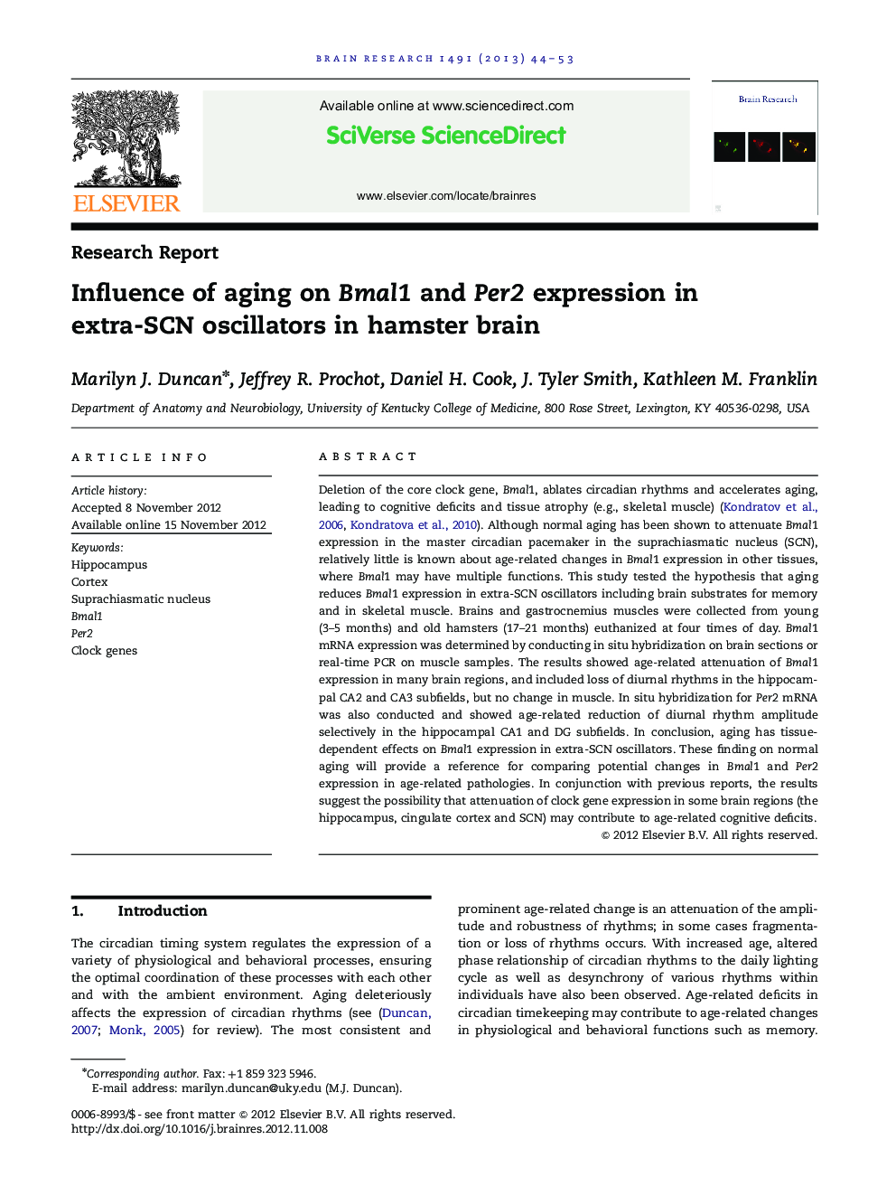 Research ReportInfluence of aging on Bmal1 and Per2 expression in extra-SCN oscillators in hamster brain