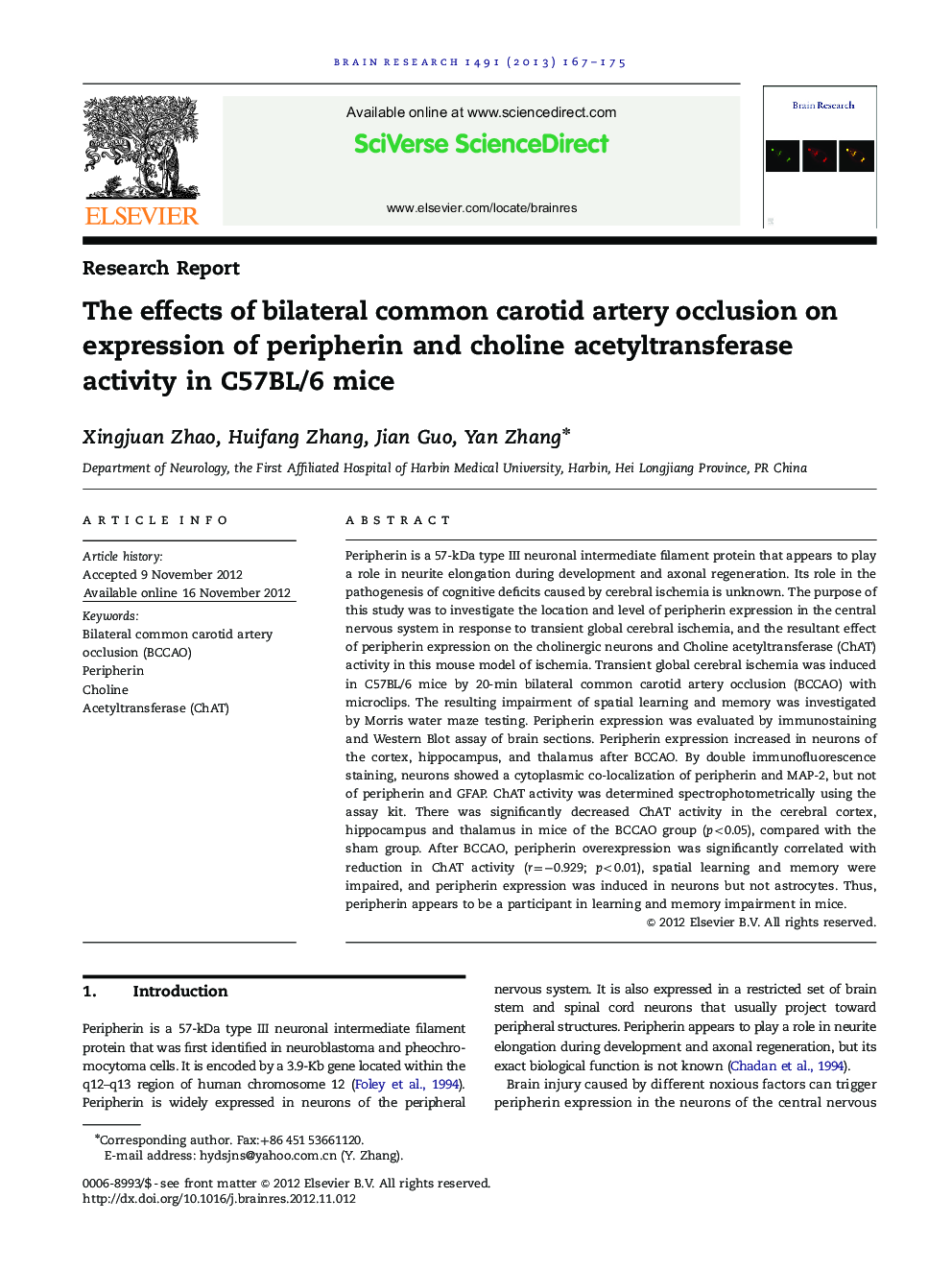 Research ReportThe effects of bilateral common carotid artery occlusion on expression of peripherin and choline acetyltransferase activity in C57BL/6 mice