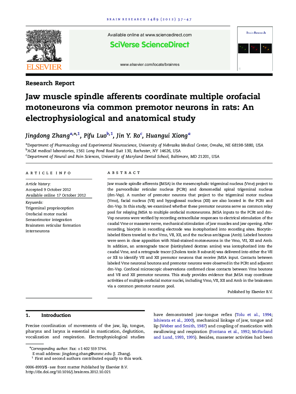 Jaw muscle spindle afferents coordinate multiple orofacial motoneurons via common premotor neurons in rats: An electrophysiological and anatomical study