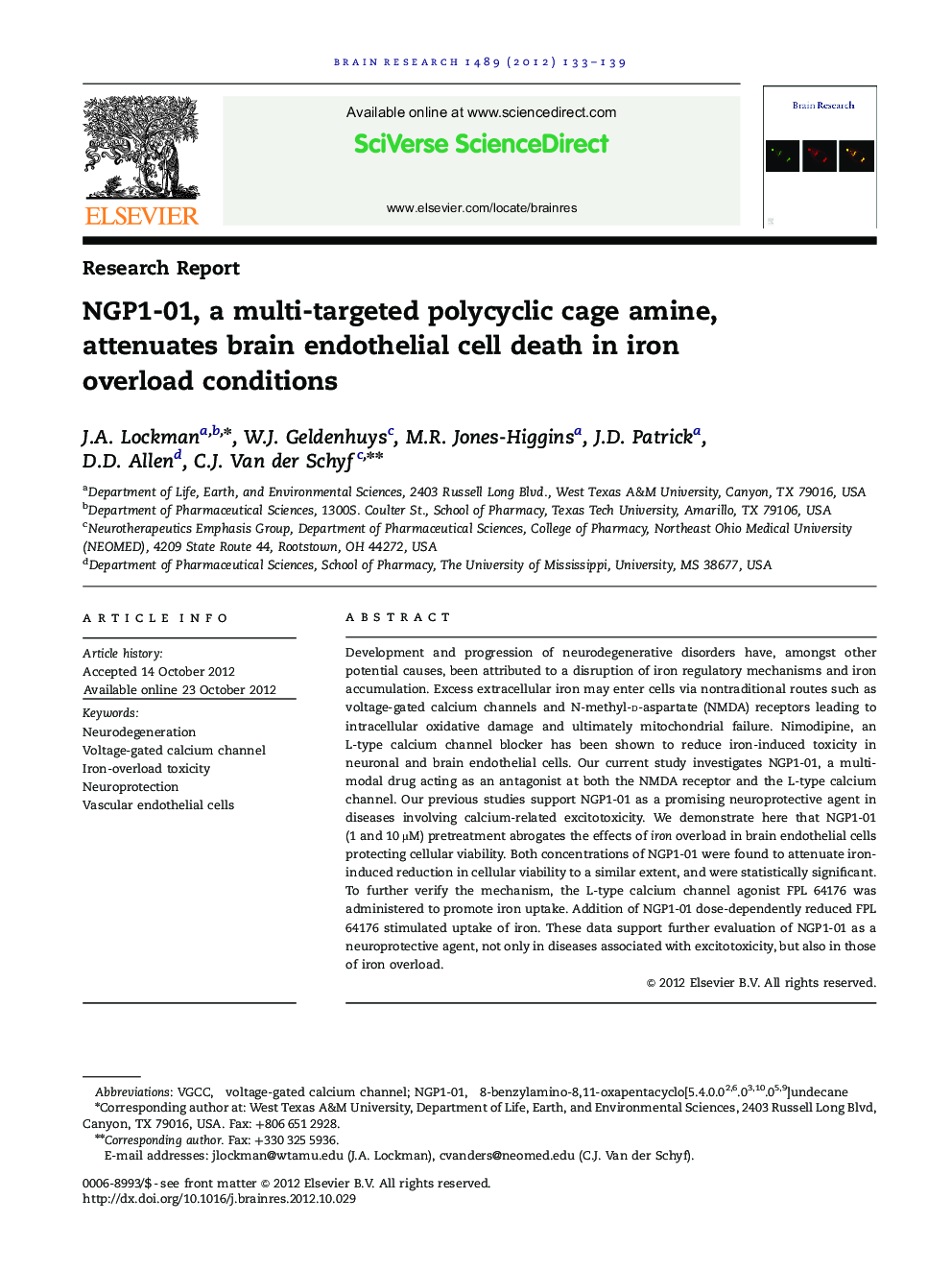 Research ReportNGP1-01, a multi-targeted polycyclic cage amine, attenuates brain endothelial cell death in iron overload conditions