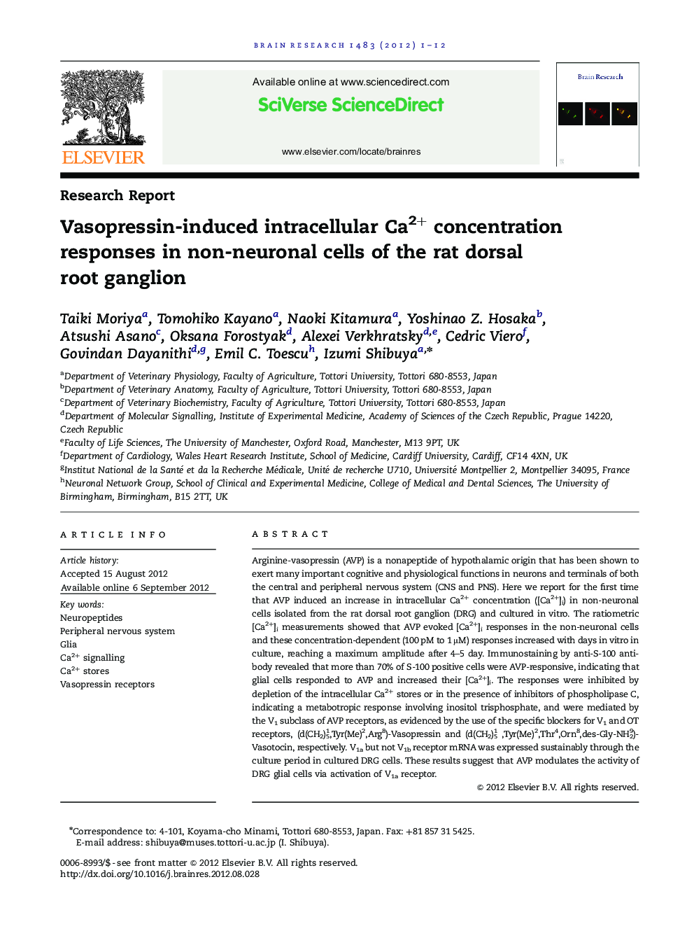 Research ReportVasopressin-induced intracellular Ca2+ concentration responses in non-neuronal cells of the rat dorsal root ganglion