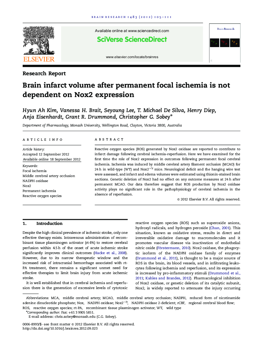 Research ReportBrain infarct volume after permanent focal ischemia is not dependent on Nox2 expression