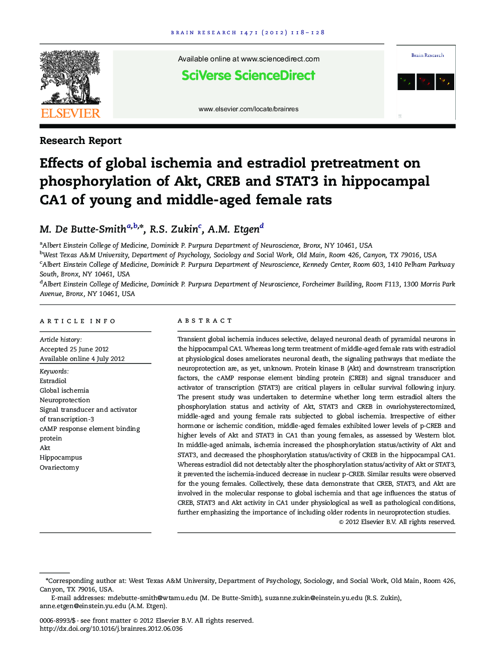 Research ReportEffects of global ischemia and estradiol pretreatment on phosphorylation of Akt, CREB and STAT3 in hippocampal CA1 of young and middle-aged female rats