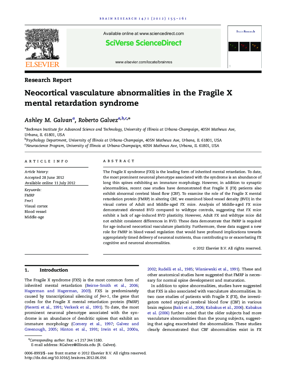 Research ReportNeocortical vasculature abnormalities in the Fragile X mental retardation syndrome