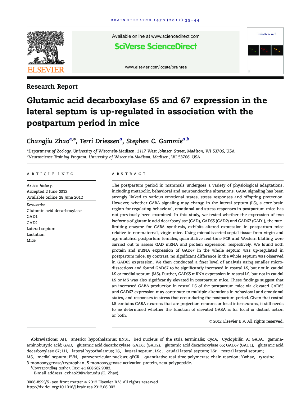 Research ReportGlutamic acid decarboxylase 65 and 67 expression in the lateral septum is up-regulated in association with the postpartum period in mice