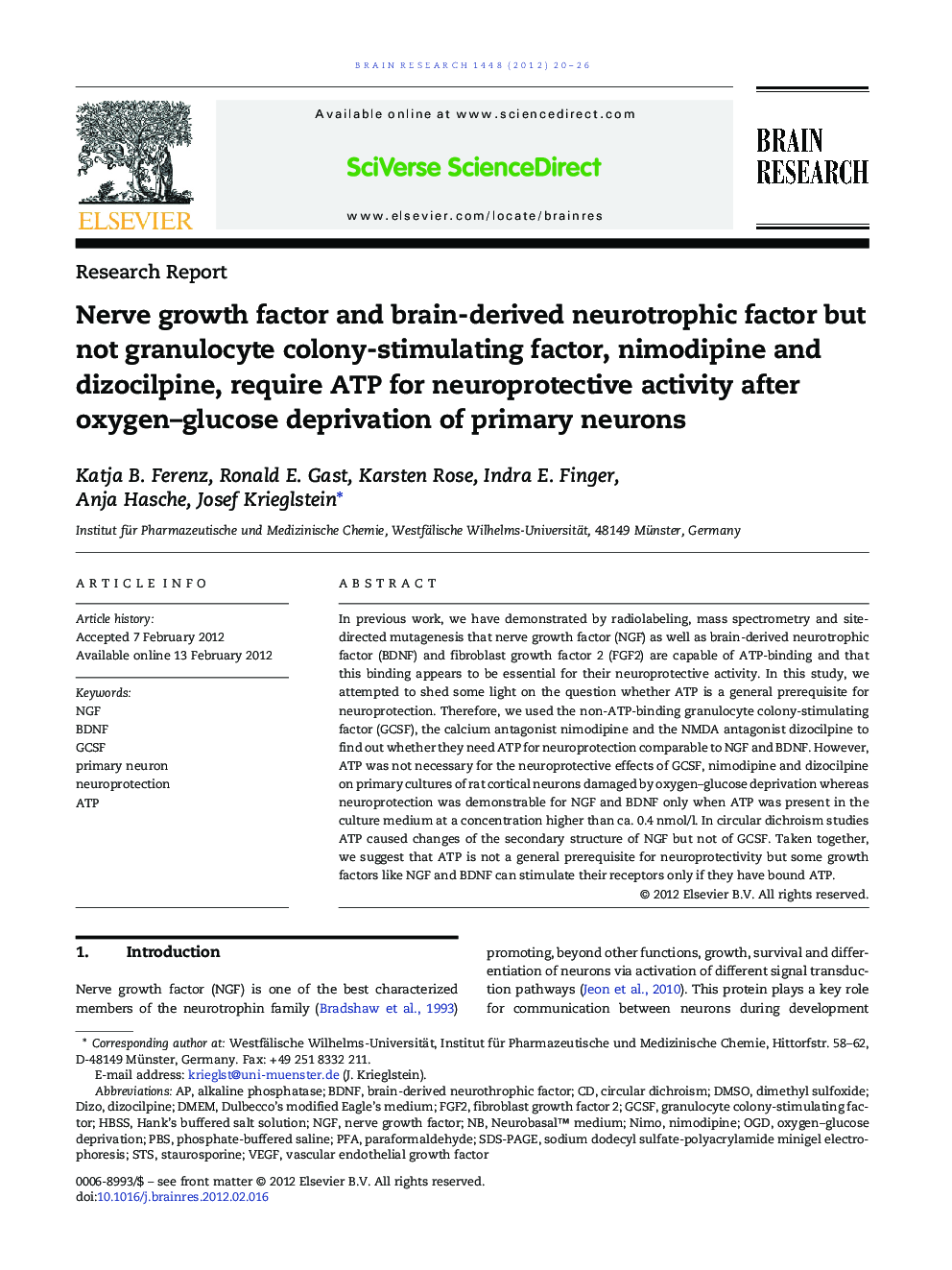 Research ReportNerve growth factor and brain-derived neurotrophic factor but not granulocyte colony-stimulating factor, nimodipine and dizocilpine, require ATP for neuroprotective activity after oxygen-glucose deprivation of primary neurons