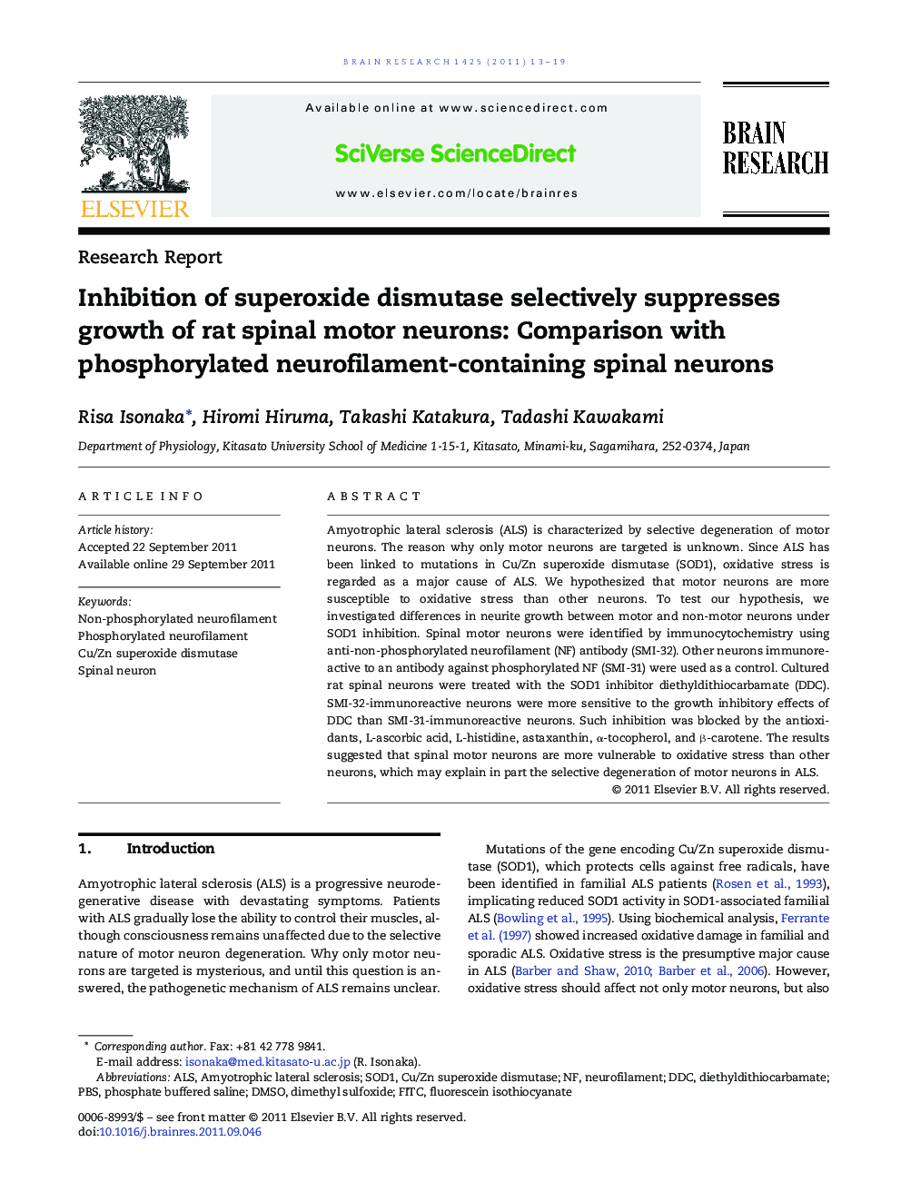 Research ReportInhibition of superoxide dismutase selectively suppresses growth of rat spinal motor neurons: Comparison with phosphorylated neurofilament-containing spinal neurons