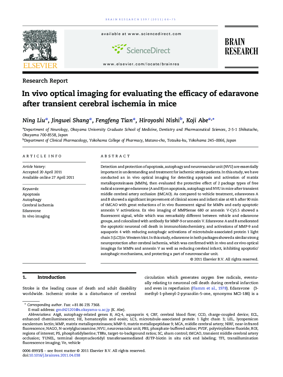 Research ReportIn vivo optical imaging for evaluating the efficacy of edaravone after transient cerebral ischemia in mice