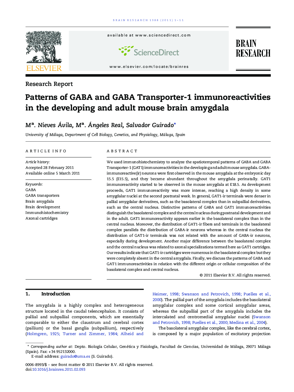 Research ReportPatterns of GABA and GABA Transporter-1 immunoreactivities in the developing and adult mouse brain amygdala