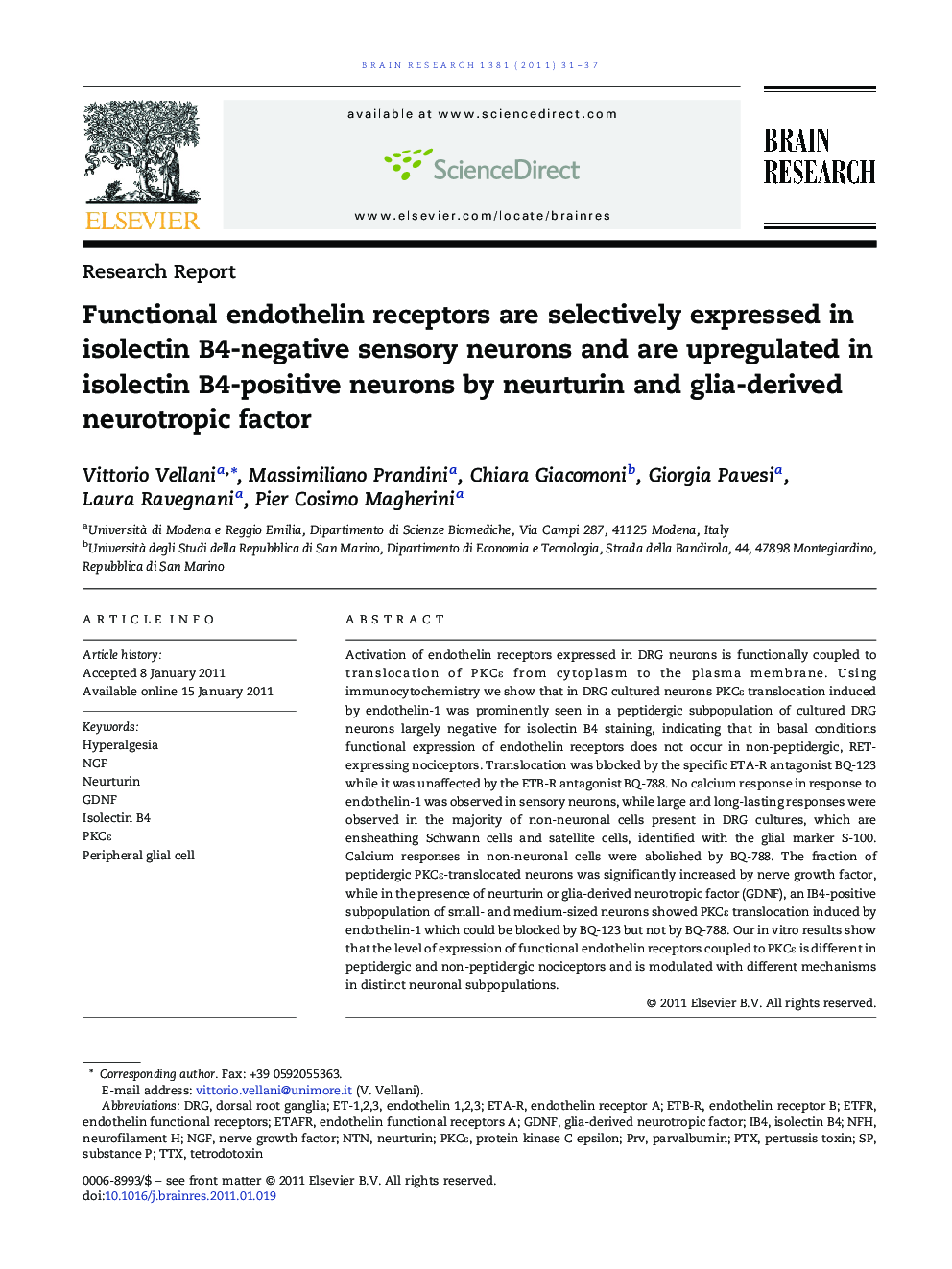 Research ReportFunctional endothelin receptors are selectively expressed in isolectin B4-negative sensory neurons and are upregulated in isolectin B4-positive neurons by neurturin and glia-derived neurotropic factor