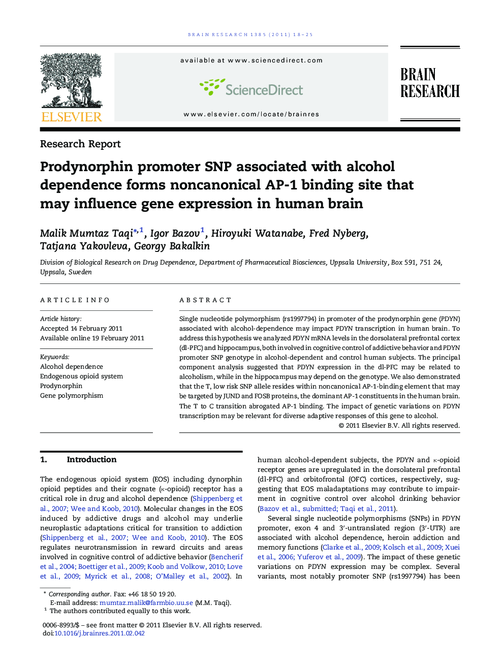 Research ReportProdynorphin promoter SNP associated with alcohol dependence forms noncanonical AP-1 binding site that may influence gene expression in human brain