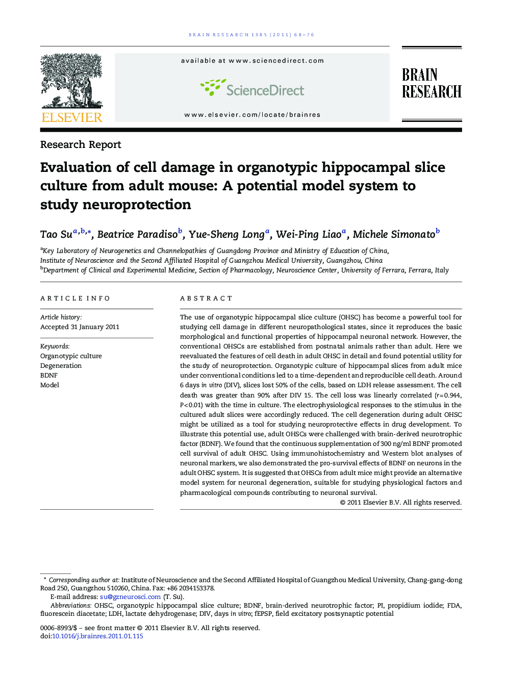 Research ReportEvaluation of cell damage in organotypic hippocampal slice culture from adult mouse: A potential model system to study neuroprotection