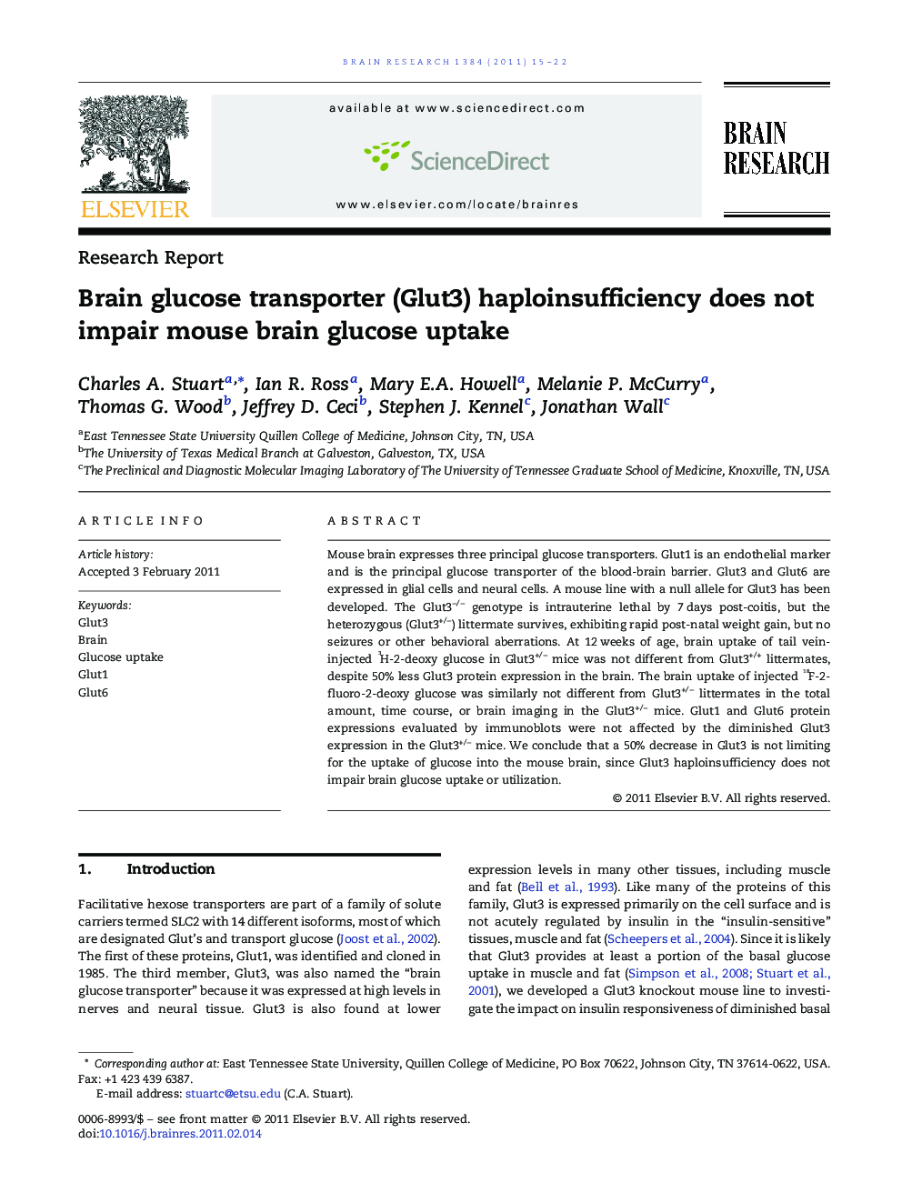 Research ReportBrain glucose transporter (Glut3) haploinsufficiency does not impair mouse brain glucose uptake