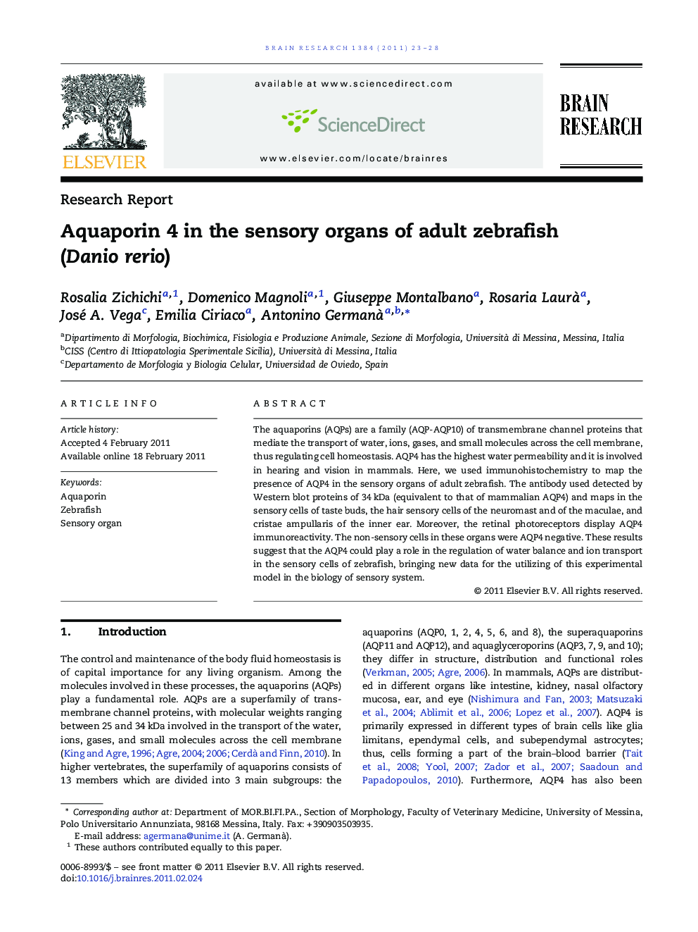 Research ReportAquaporin 4 in the sensory organs of adult zebrafish (Danio rerio)