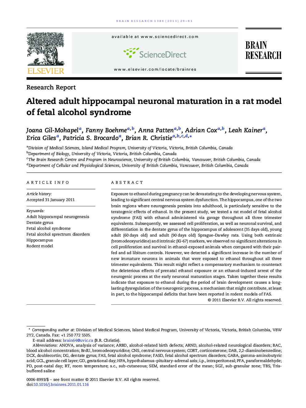 Research ReportAltered adult hippocampal neuronal maturation in a rat model of fetal alcohol syndrome