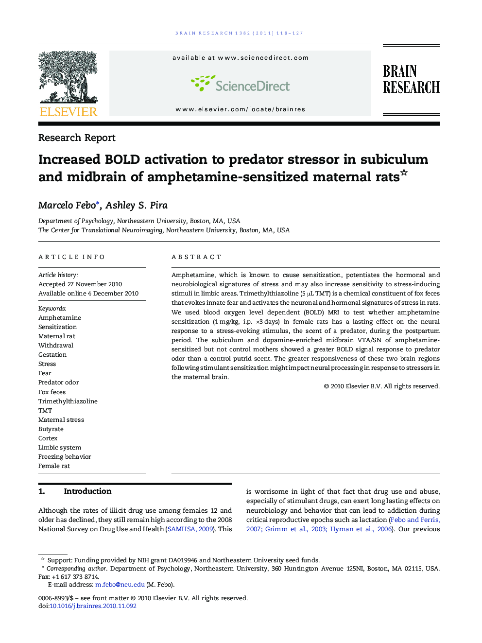 Research ReportIncreased BOLD activation to predator stressor in subiculum and midbrain of amphetamine-sensitized maternal rats