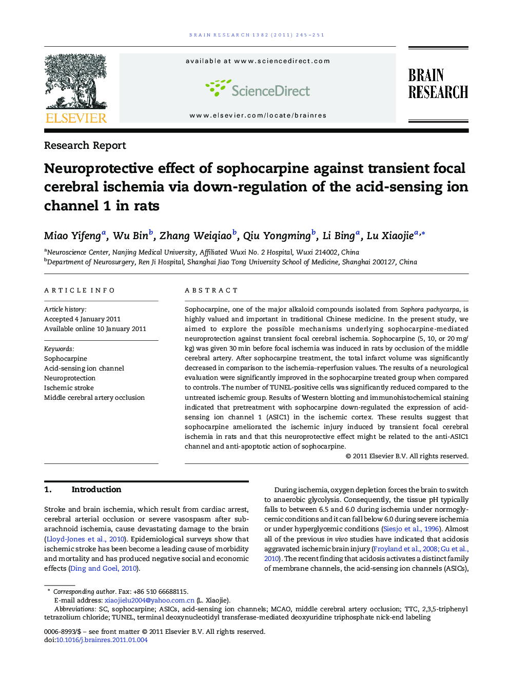 Research ReportNeuroprotective effect of sophocarpine against transient focal cerebral ischemia via down-regulation of the acid-sensing ion channel 1 in rats