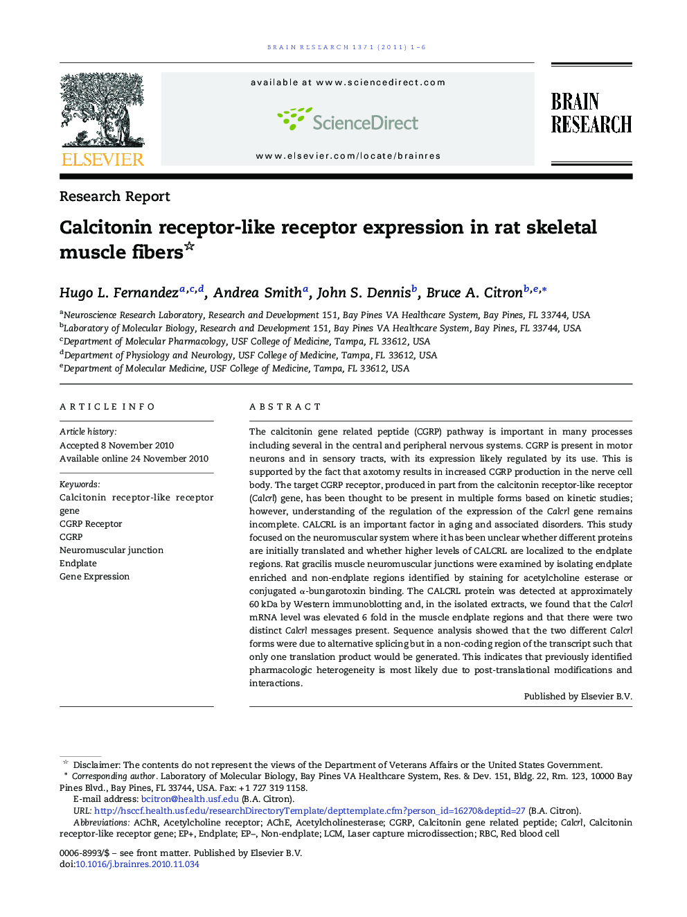 Research ReportCalcitonin receptor-like receptor expression in rat skeletal muscle fibers