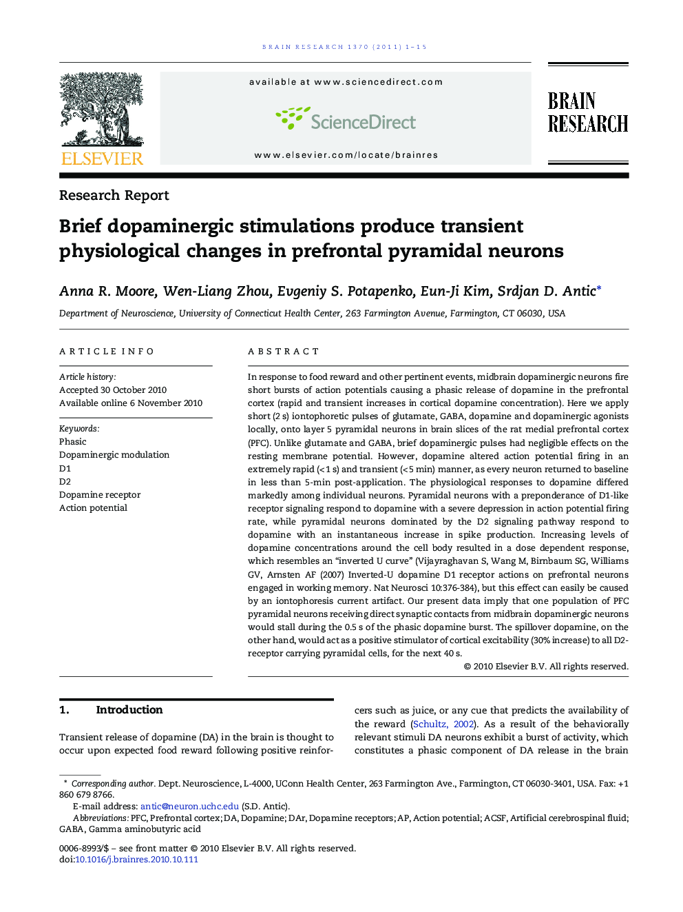 Research ReportBrief dopaminergic stimulations produce transient physiological changes in prefrontal pyramidal neurons