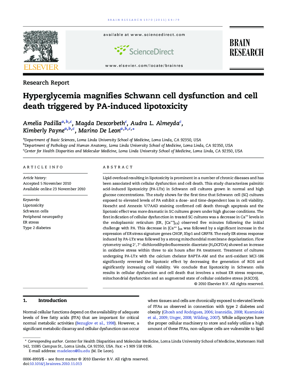 Research ReportHyperglycemia magnifies Schwann cell dysfunction and cell death triggered by PA-induced lipotoxicity